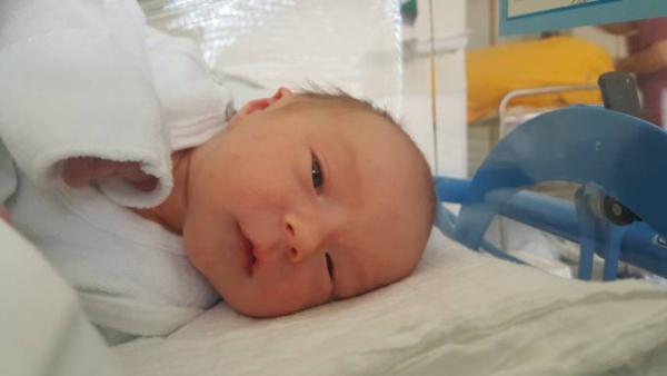 Bild zu Ausgekugelt am 1.7.20 - Forum für Juli - Mamis
