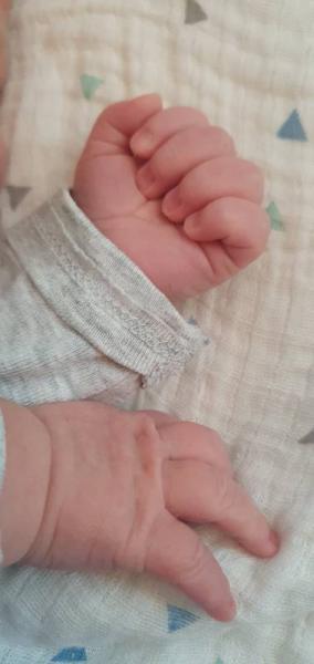 Bild zu Wir können unser Glück kaum fassen! - Forum für Juli - Mamis