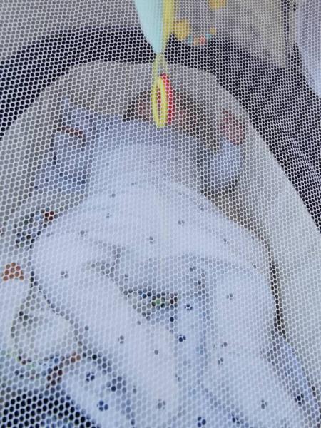 Bild zu
