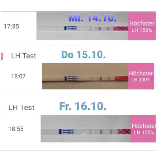 Bild zu Wann Eisprung? Bin verwirrt - Forum für Juli - Mamis