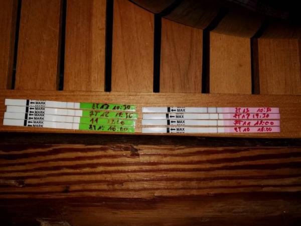 Bild zu Ovu positiv? - Forum für Juli - Mamis