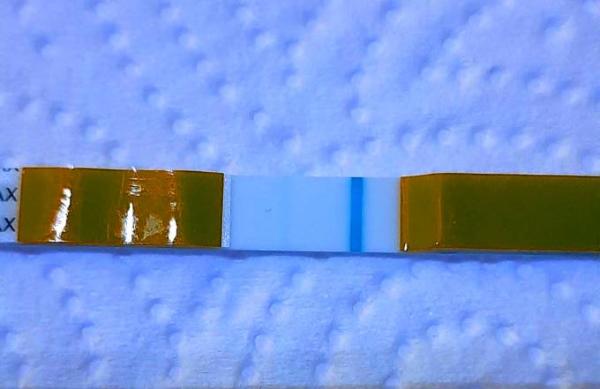 Bild zu Positiv??? - Forum für Juli - Mamis