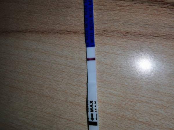 Bild zu Es+9 nachmittags one step - Forum für Juli - Mamis