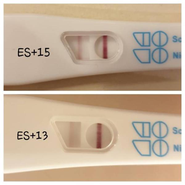 Bild zu HCG Anstieg - Forum für Juli - Mamis