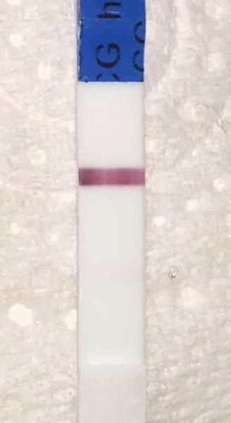 Bild zu Ich werde glaube ich wahnsinnig.... 😂😂 - Forum für Juli - Mamis