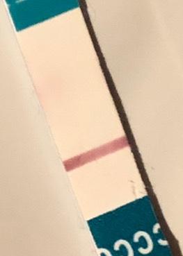 Bild zu Komischer Monat... SST - Forum für Juli - Mamis