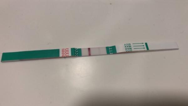 Bild zu Ich kann’s nicht glauben! - Forum für Juli - Mamis