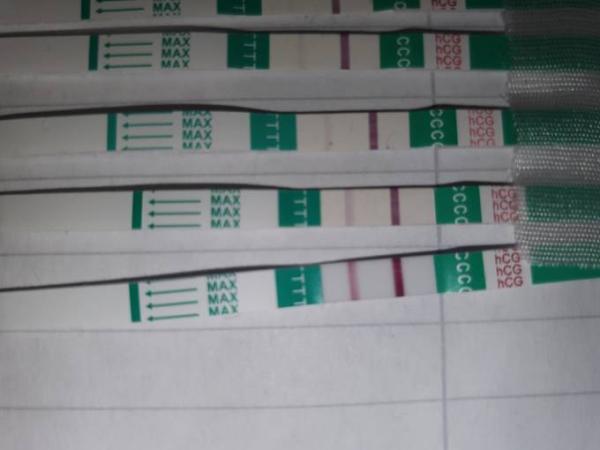 Bild zu So toll anzusehen 🥰 - Forum für Juli - Mamis