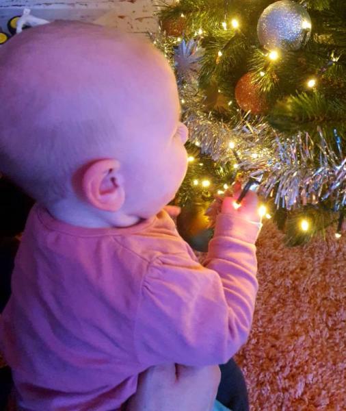 Bild zu Wird doch glatt die weihnachtsdeko verspeist - Forum für Juli - Mamis