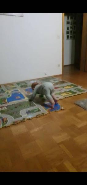 Bild zu