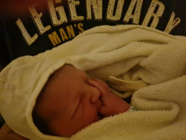 Bild zu