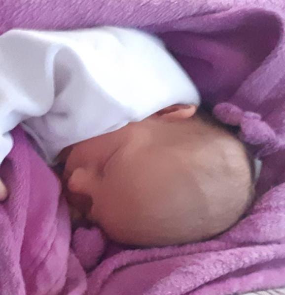 Bild zu Herzlichen Glückwunsch allen kuschelnden...🍀 - Forum für Juli - Mamis
