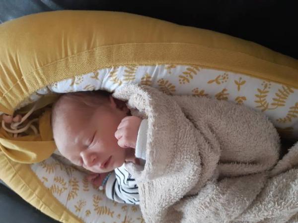 Bild zu ET+16- Wir haben es jetzt auch!! - Forum für Juli - Mamis