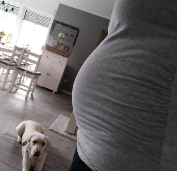 Bild zu Es ist wieder soweit...Dickbauch Di. 🤗 - Forum für Juli - Mamis