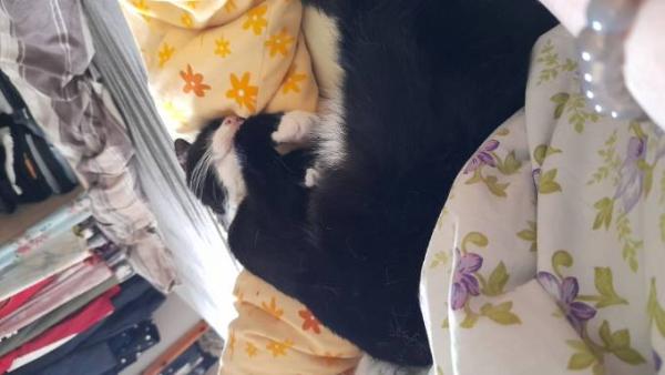 Bild zu