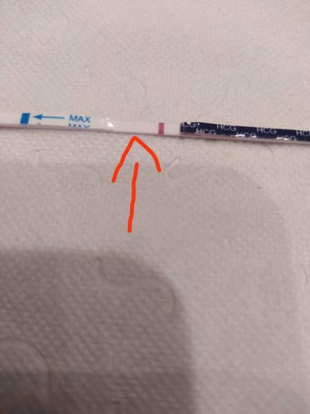 Bild zu ich werd verrückt... ist da etwa was? - Forum für Juli - Mamis