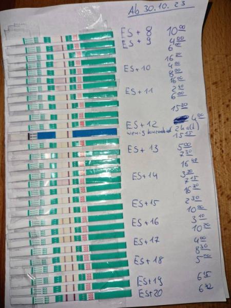 Bild zu Testreihe heute beendet und Diabetologe - Forum für Juli - Mamis