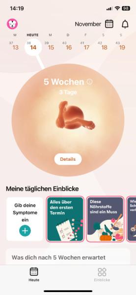 Bild zu