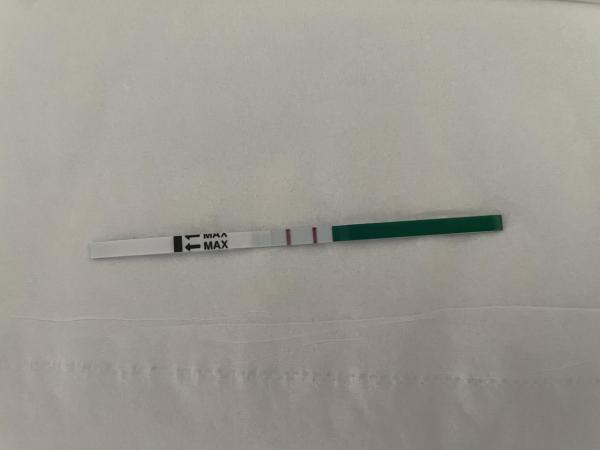 Bild zu Schwanger 🥰 - Forum für Juli - Mamis