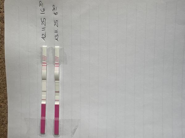 Bild zu Ich glaube wir sind auch dabei - Forum für Juli - Mamis