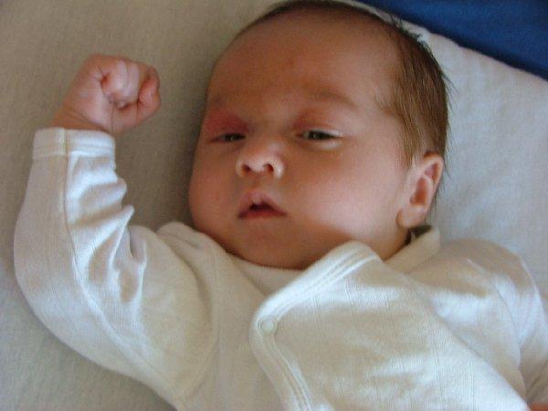 Bild zu Völker hört die Signale - Forum für August - Mamis