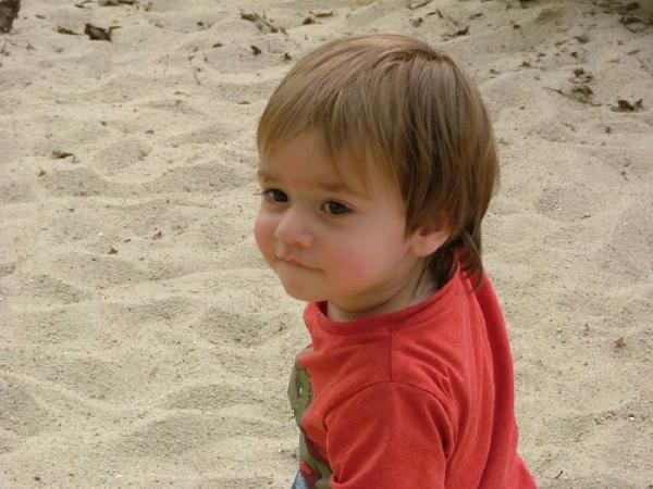 Bild zu Würdet ihr Emil dier Haare schneiden? - Forum für August - Mamis