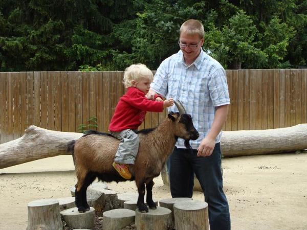 Bild zu Viel unterwegs gerade - Forum für August - Mamis