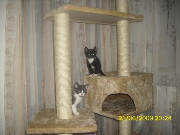 Bild zu Foto - Forum für August - Mamis