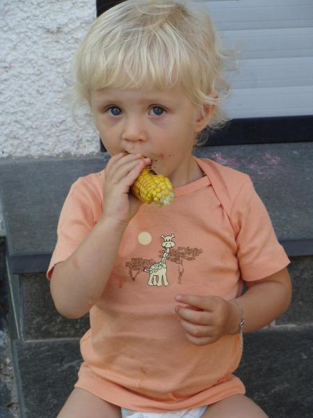 Bild zu 