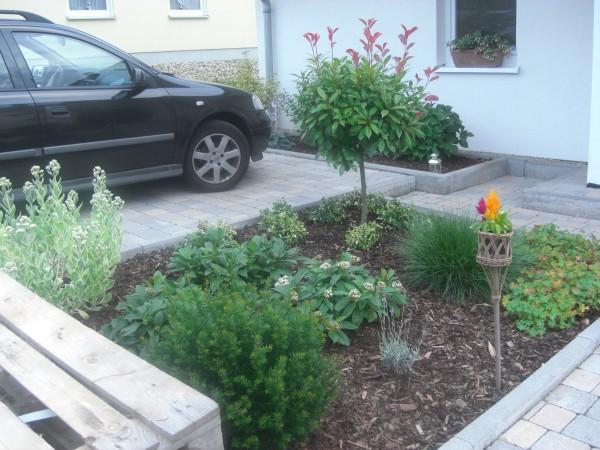 Bild zu