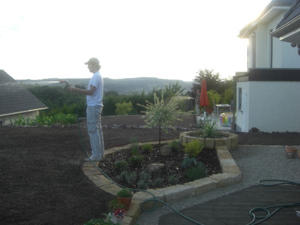 Bild zu
