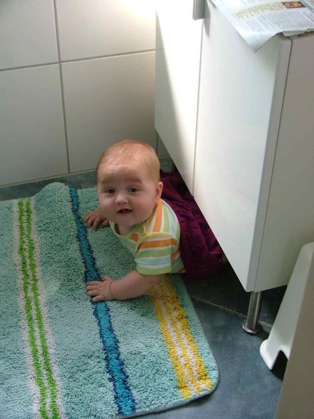 Bild zu