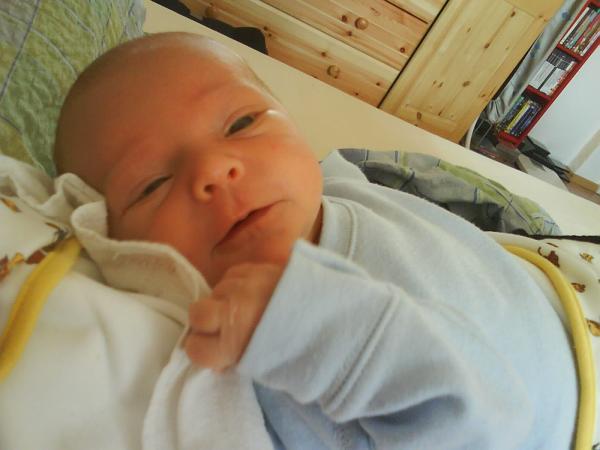 Bild zu 