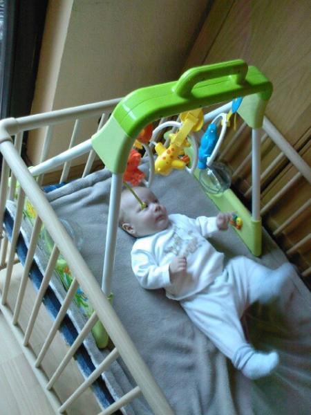 Bild zu