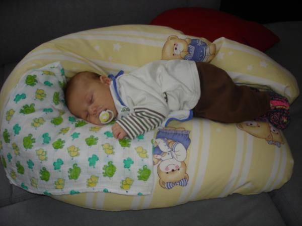 Bild zu