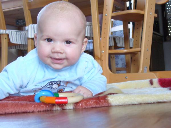 Bild zu 