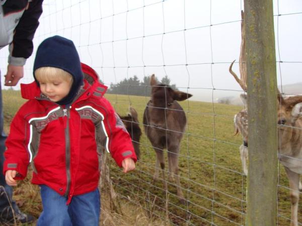 Bild zu 