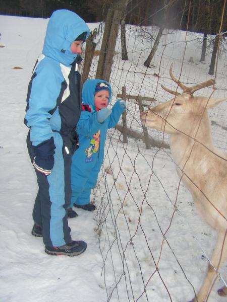 Bild zu 
