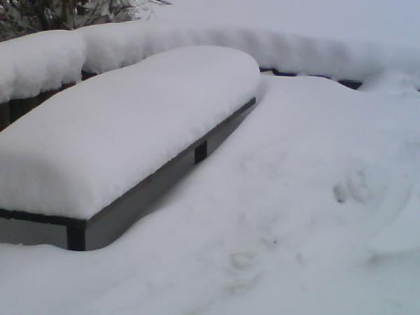 Bild zu Winterbilder.... - Forum für August - Mamis