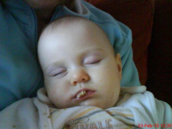 Bild zu 