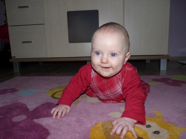 Bild zu 