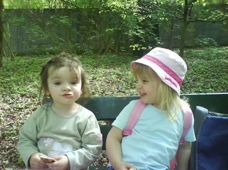 Bild zu