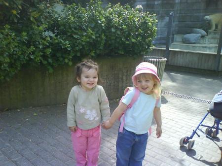 Bild zu