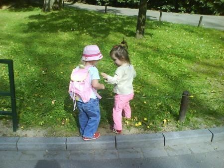 Bild zu