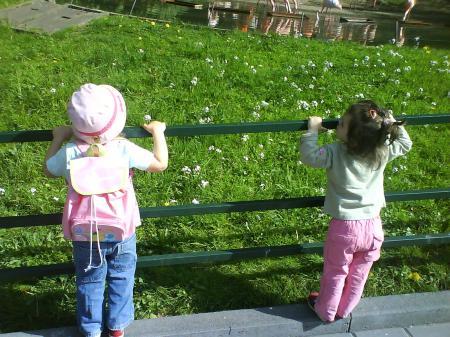 Bild zu