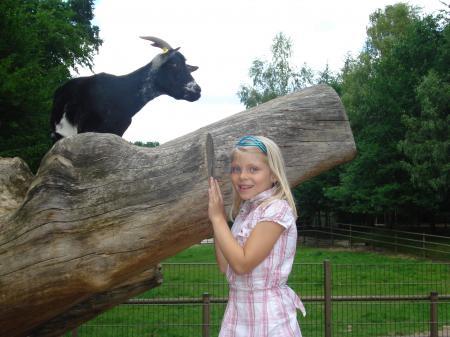 Bild zu 