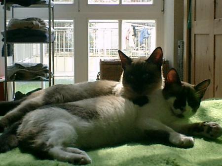 Bild zu