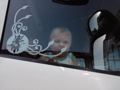 Bild zu Papas LKW - Forum für August - Mamis