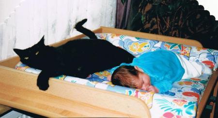 Bild zu