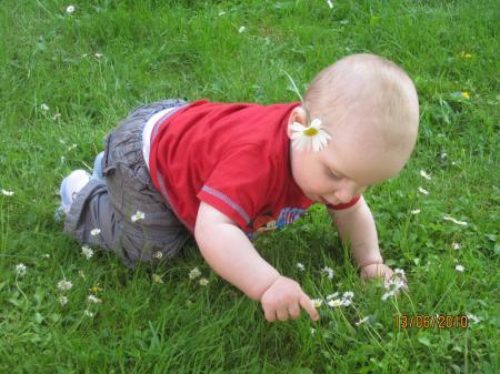 Bild zu 
